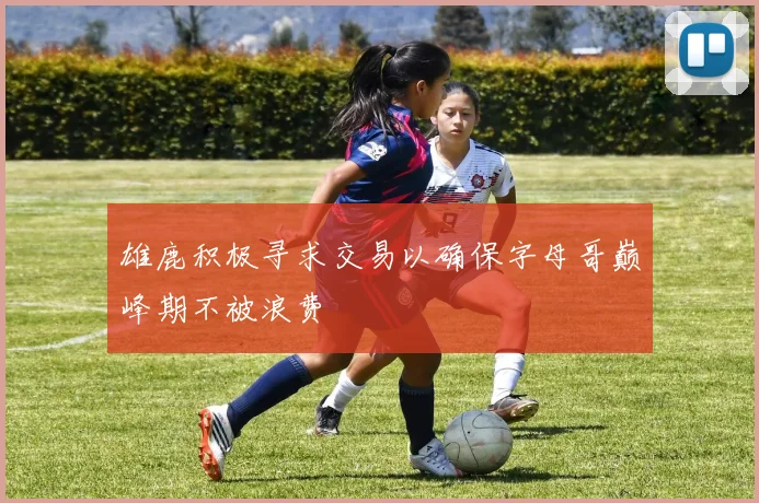雄鹿积极寻求交易以确保字母哥巅峰期不被浪费