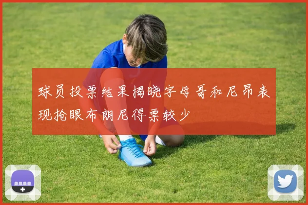 球员投票结果揭晓字母哥和尼昂表现抢眼布朗尼得票较少
